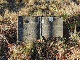 image of grave number 724359
